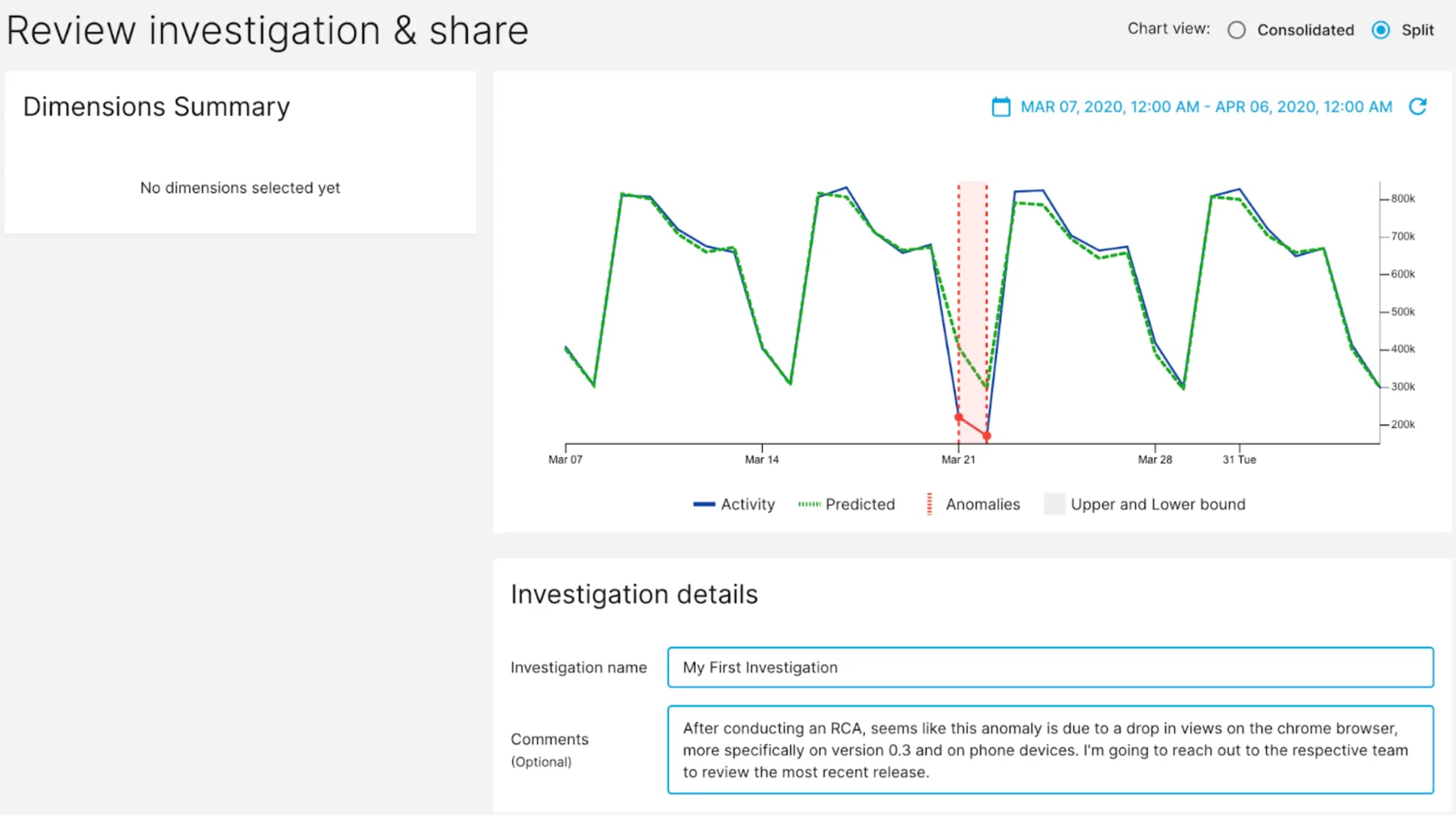 Reviewing Investigation