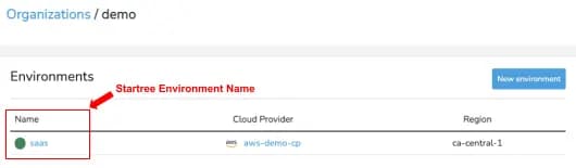 Startree Environment Name (1)