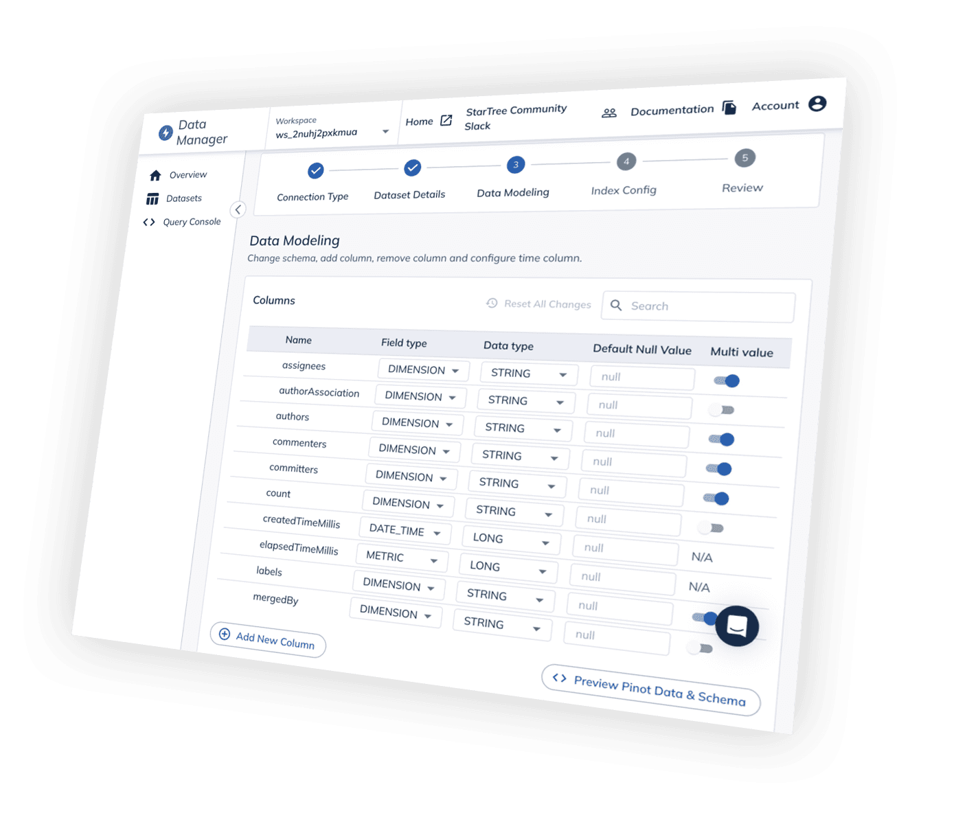 Data Manager Perspective